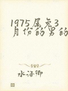 1975属兔3月份的男的命运