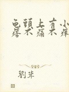 龟头上有小红疙瘩不痛不痒是怎么回事