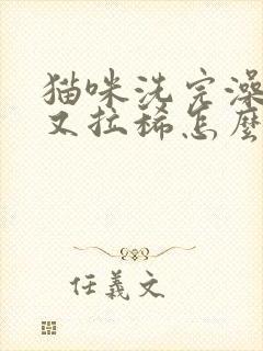 猫咪洗完澡又吐又拉稀怎么办