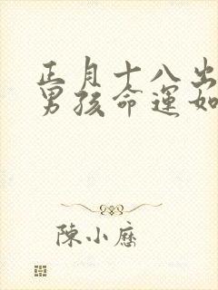 正月十八出生的男孩命运如何封面