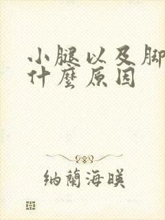 小腿以及脚踝痛什么原因封面