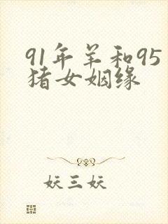 91年羊和95猪女姻缘封面