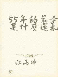 55年的羊今年是什么运气,健康怎样?