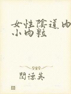 女性阴道内口长小肉粒封面