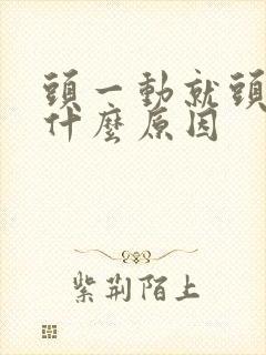 头一动就头晕是什么原因