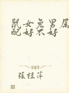 鼠女兔男属相婚配好不好