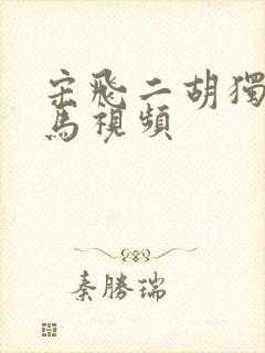 宋飞二胡独奏赛马视频