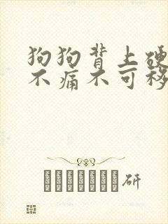 狗狗背上硬块但不痛不可移动