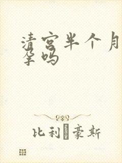清宫半个月会怀孕吗