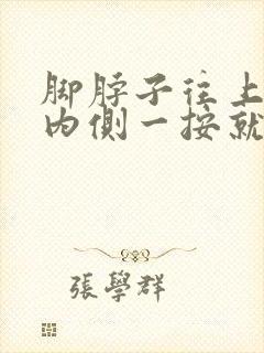 脚脖子往上小腿内侧一按就疼封面