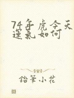 74年虎今天的运气如何