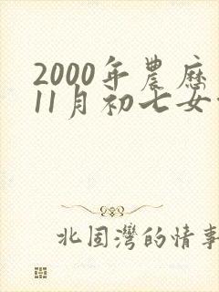 2000年农历11月初七女命