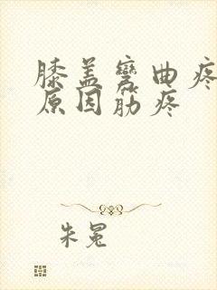 膝盖弯曲疼痛的原因筋疼封面