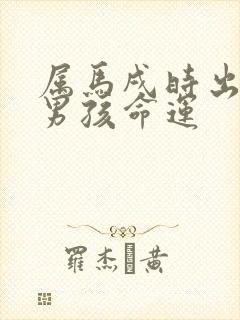 属马戌时出生的男孩命运