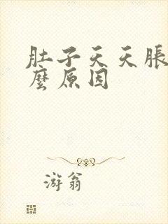 肚子天天胀是什么原因封面