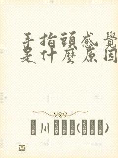 手指头感觉发麻是什么原因封面