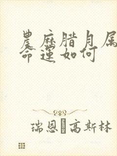 农历腊月属狗女命运如何