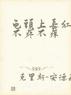 龟头上长红点,不疼不痒封面