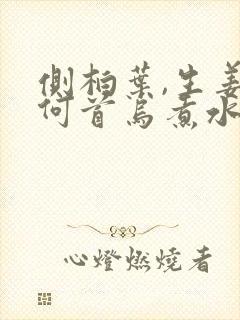 侧柏叶,生姜,何首乌煮水洗头的功效