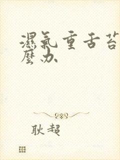 湿气重舌苔白怎么办封面