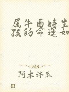 属牛酉时生的男孩的命运如何