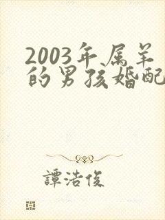 2003年属羊的男孩婚配