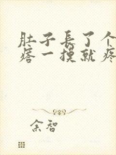 肚子长了个硬疙瘩一摸就疼封面