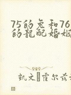 75的兔和76的龙配婚姻好不好