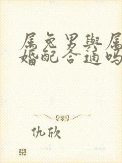 属兔男与属虎女婚配合适吗