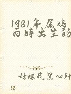 1981年属鸡酉时出生的命运