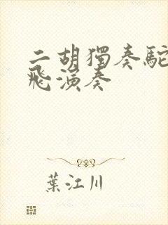 二胡独奏驼铃宋飞演奏封面