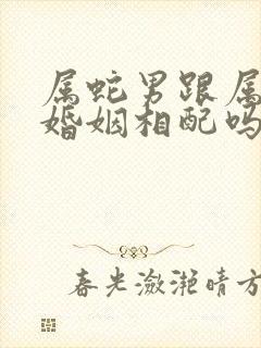 属蛇男跟属蛇女婚姻相配吗封面