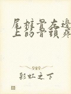 尾椎骨左边屁股上的骨头疼