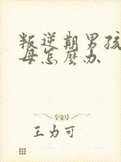 叛逆期男孩骂父母怎么办封面