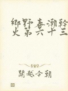 乡野春潮干柴烈火第六十三章