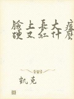 脸上长大痘痘又硬又红什么原因