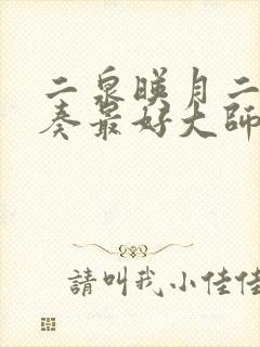 二泉映月二胡独奏最好大师