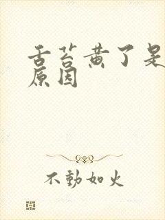 舌苔黄了是什么原因