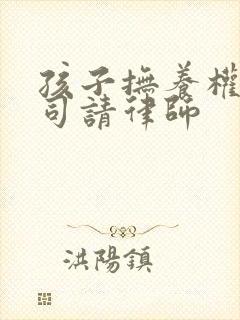 孩子抚养权打官司请律师封面