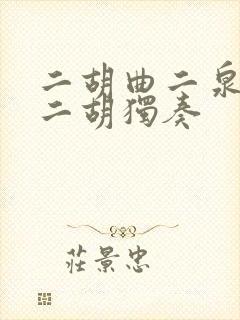 二胡曲二泉映月二胡独奏