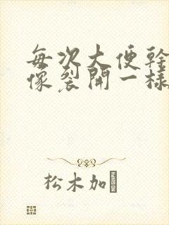 每次大便干肛门像裂开一样出血特别疼