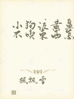 小狗流黄鼻涕也不吃东西怎么办