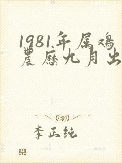 1981年属鸡农历九月出生的命运