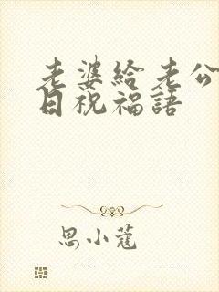 老婆给老公的生日祝福语