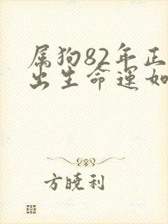 属狗82年正月出生命运如何
