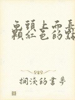 龟头上面长了一颗红色的点,不痛不痒