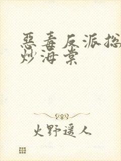 恶毒反派总被爆炒海棠封面