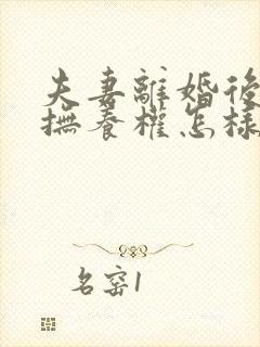 夫妻离婚后孩子抚养权怎样判定封面