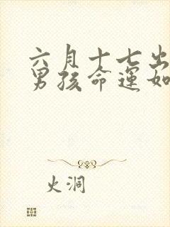 六月十七出生的男孩命运如何封面