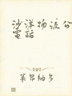 沙洋物流公司的电话